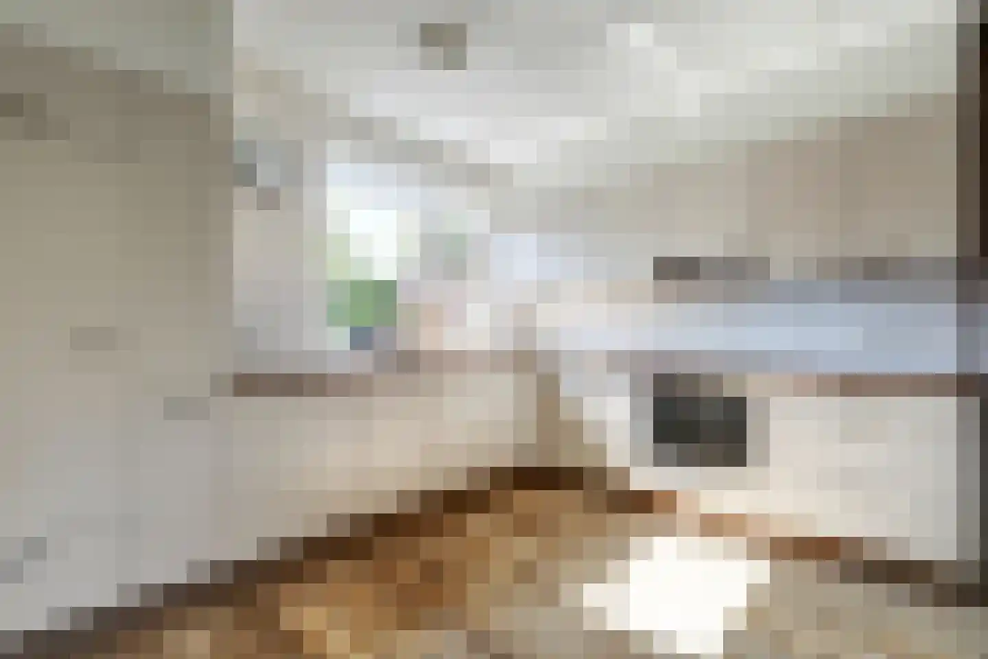 Boterbloem 42 Klarenbeek thumbnail 12
