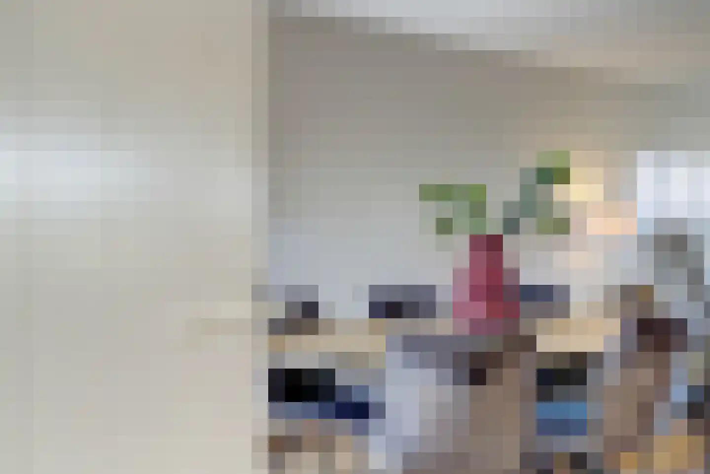 Boterbloem 42 Klarenbeek thumbnail 14