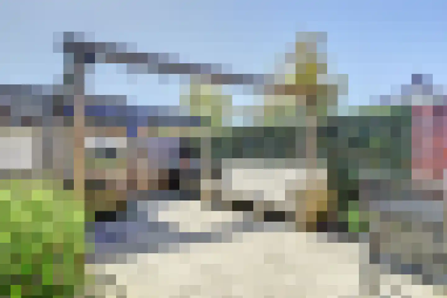 Boterbloem 42 Klarenbeek thumbnail 30