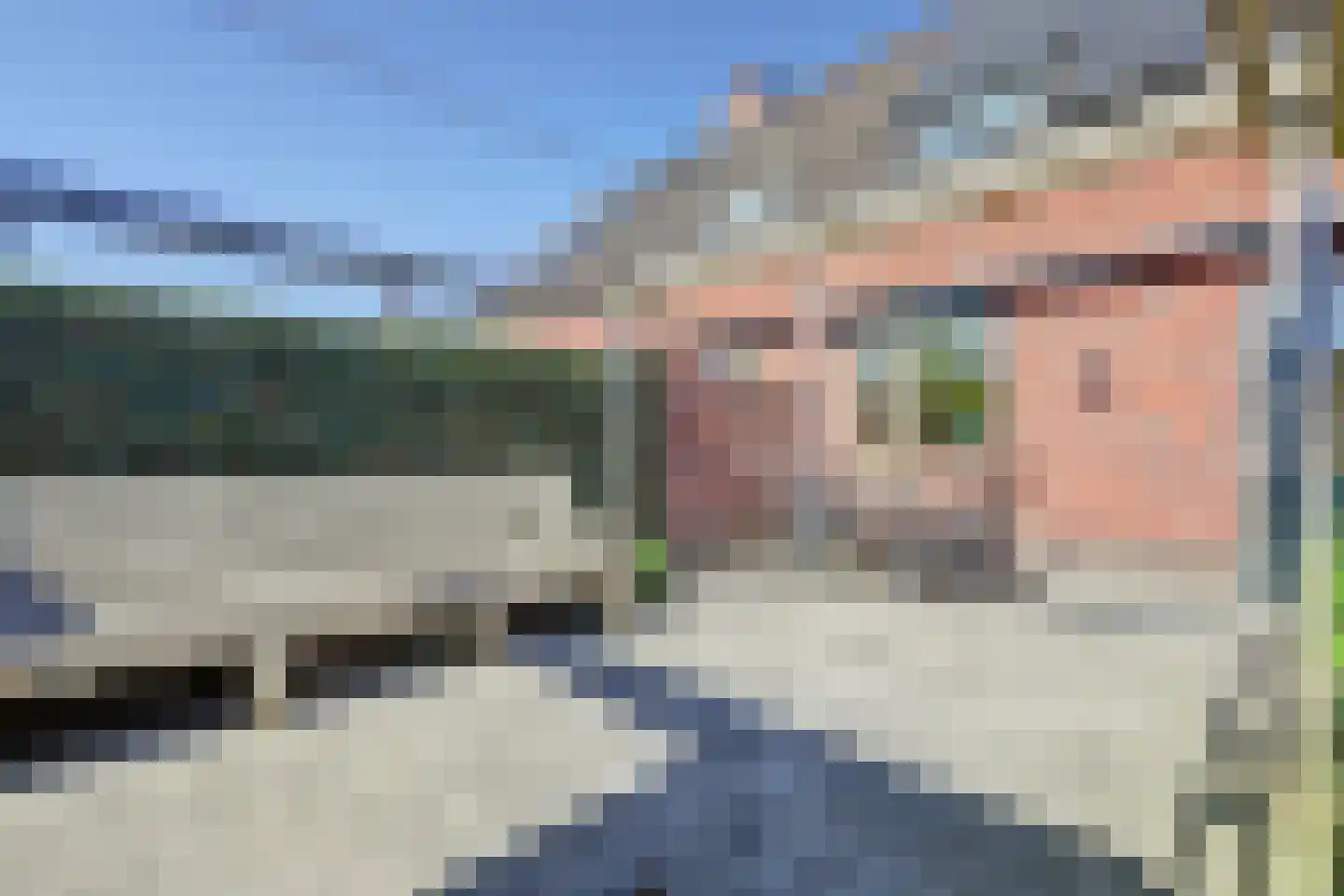 Boterbloem 42 Klarenbeek thumbnail 33
