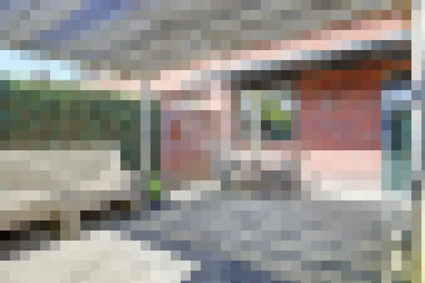 Boterbloem 42 Klarenbeek thumbnail 35