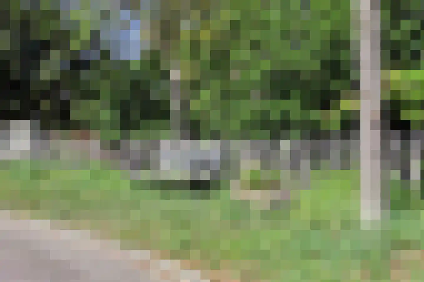 Boterbloem 42 Klarenbeek thumbnail 40