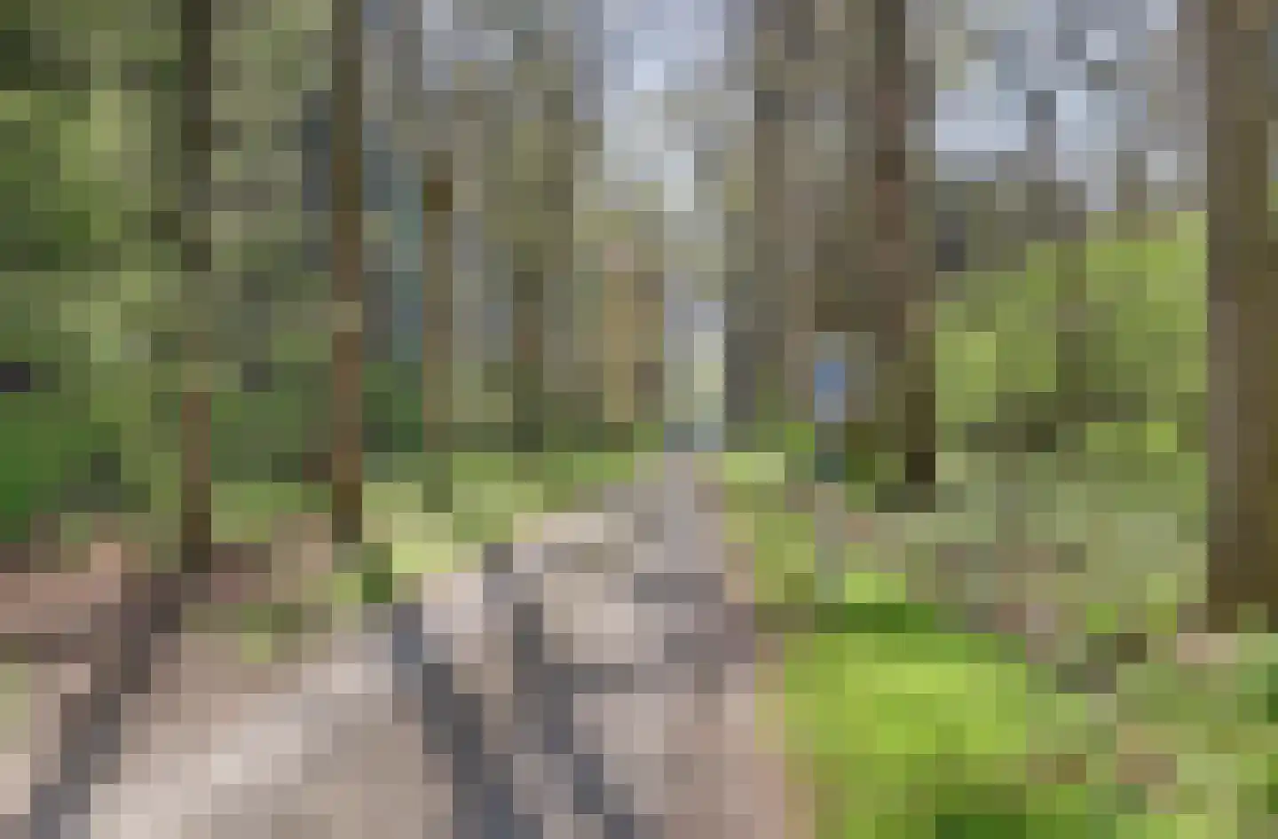 Boterbloem 42 Klarenbeek thumbnail 41