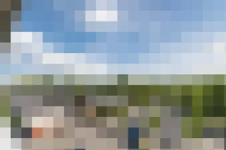 Boterbloem 43 Uithoorn thumbnail 20