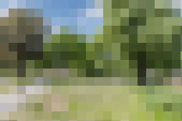 Boterbloem 43 Uithoorn thumbnail 27