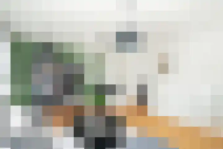 Boterbloem 44 Ouderkerk aan de Amstel thumbnail 17