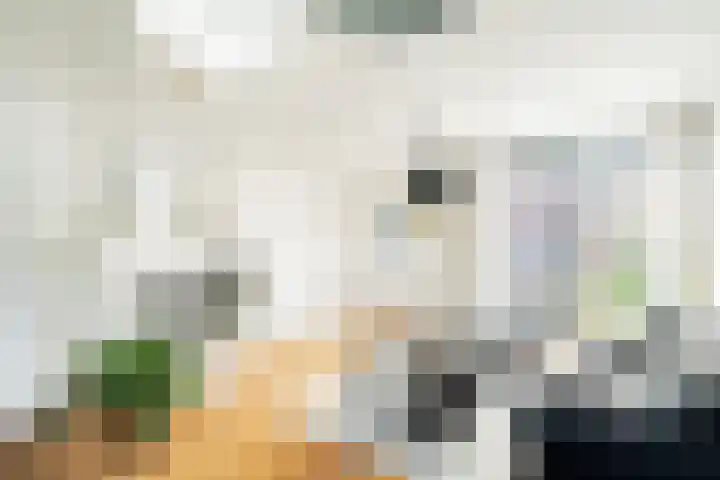 Boterbloem 44 Ouderkerk aan de Amstel thumbnail 18