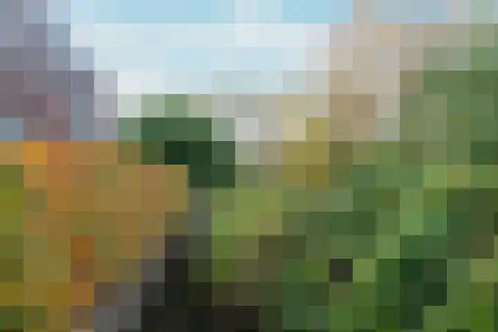 Boterbloem 44 Ouderkerk aan de Amstel thumbnail 28
