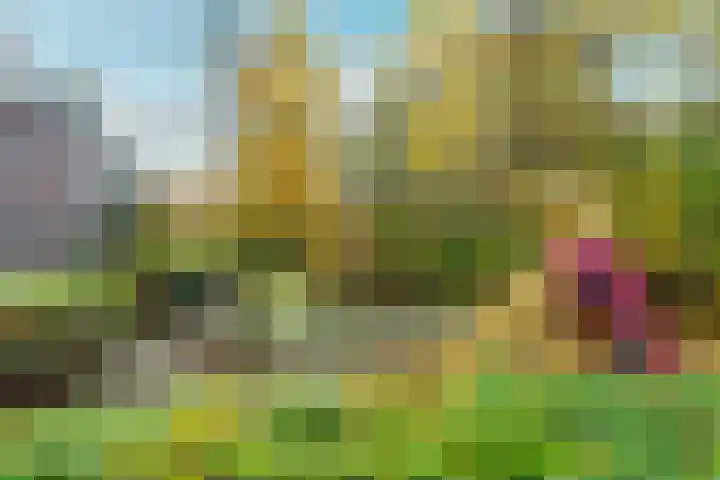 Boterbloem 44 Ouderkerk aan de Amstel thumbnail 32