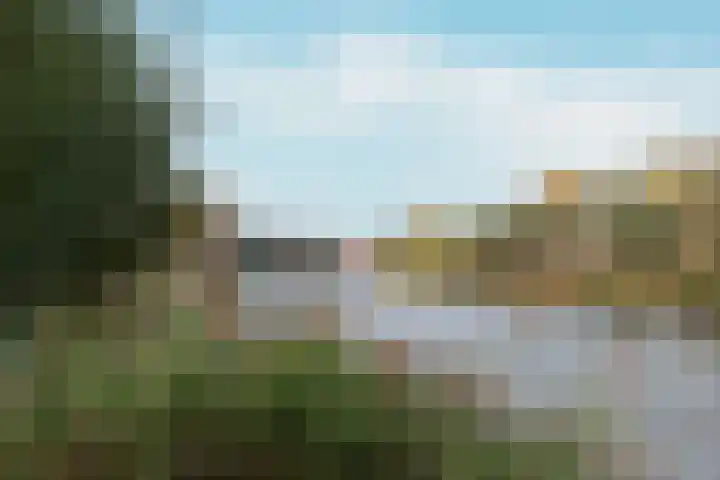 Boterbloem 44 Ouderkerk aan de Amstel thumbnail 34