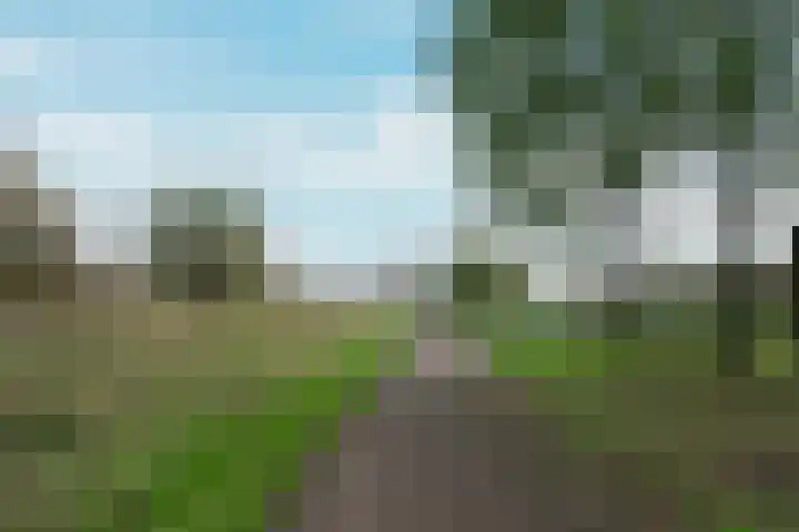 Boterbloem 44 Ouderkerk aan de Amstel thumbnail 35