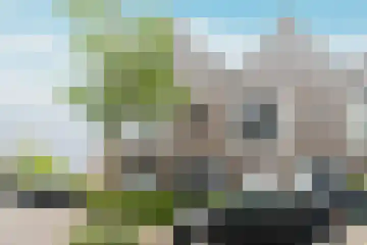 Boterbloem 44 Ouderkerk aan de Amstel thumbnail 5