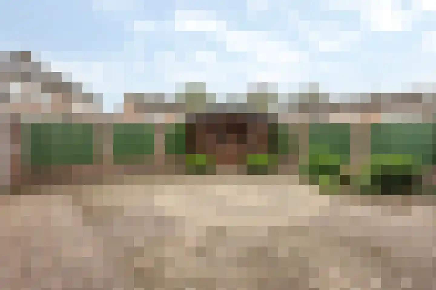Boterbloem 48 Venray thumbnail 32
