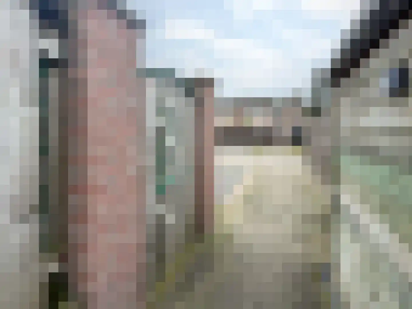 Boterbloem 48 Venray thumbnail 35