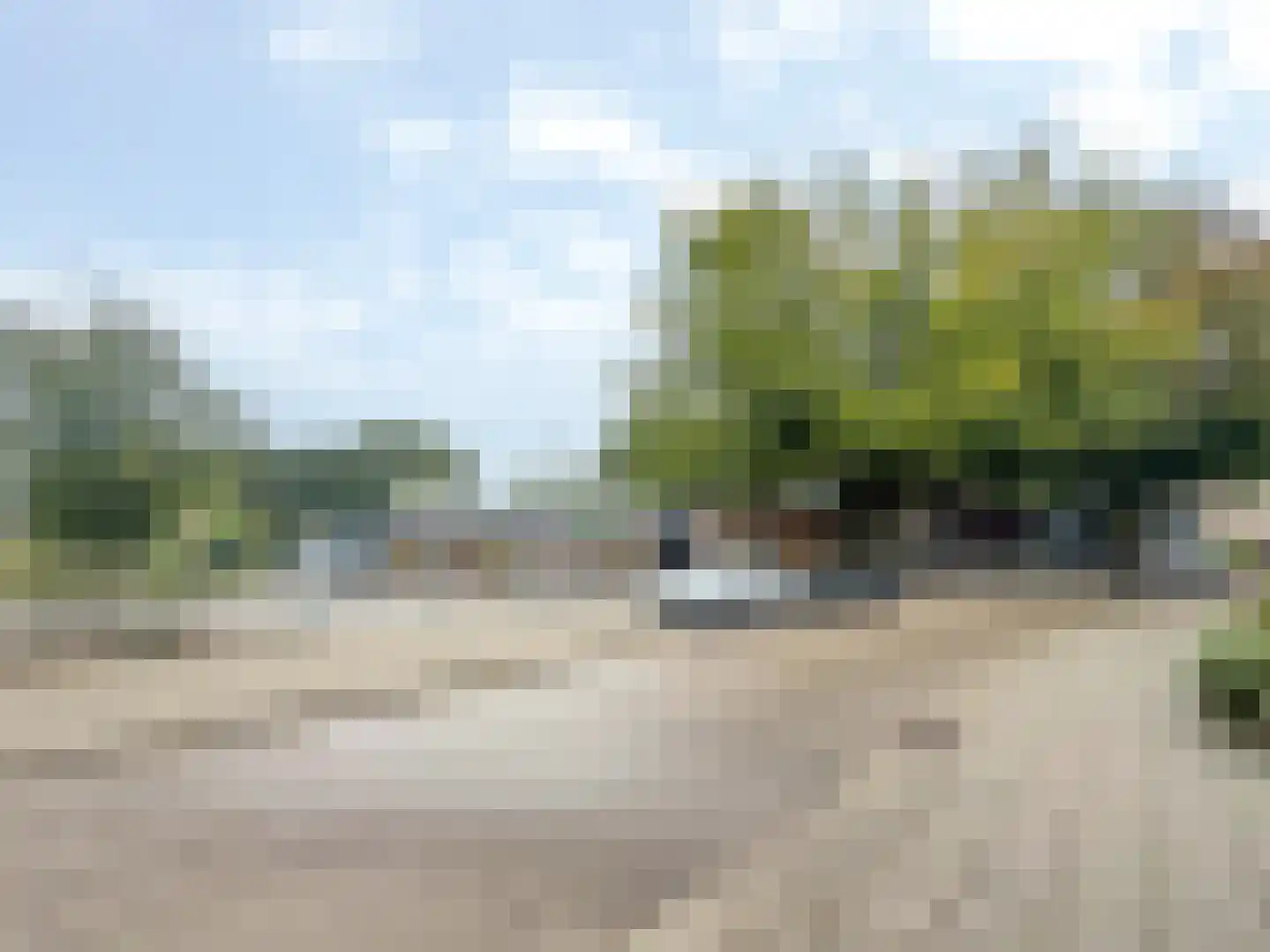 Boterbloem 48 Venray thumbnail 38
