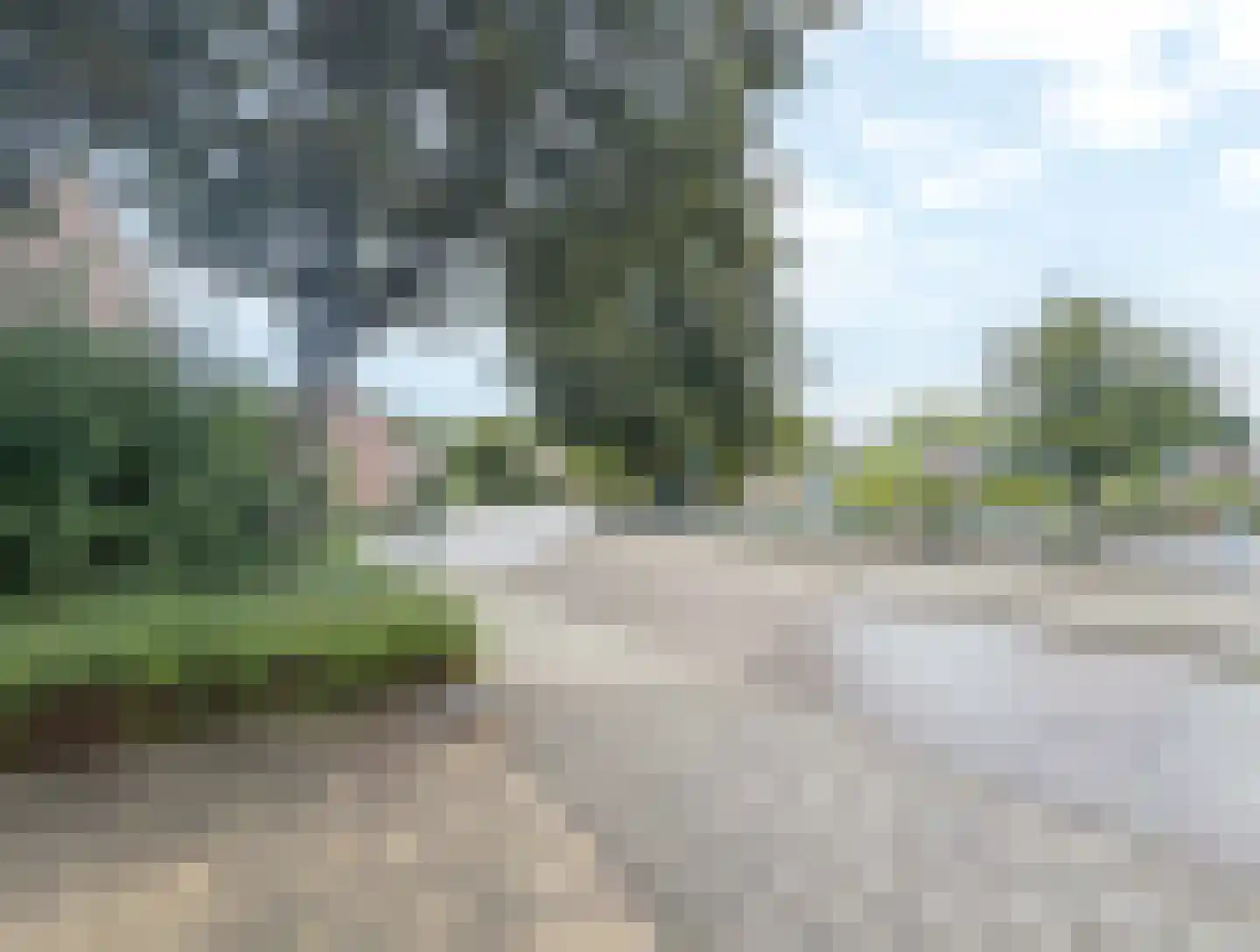Boterbloem 48 Venray thumbnail 39