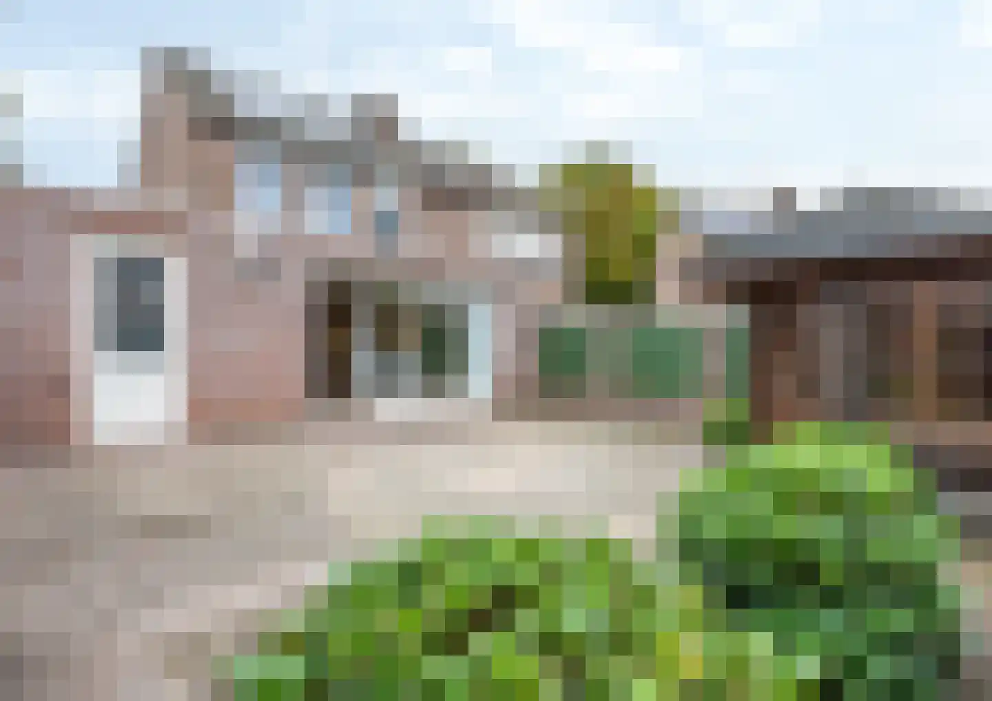 Boterbloem 48 Venray thumbnail 4