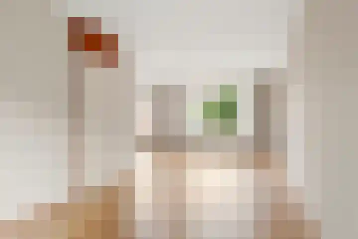 Boterbloem 49 Bennekom thumbnail 12