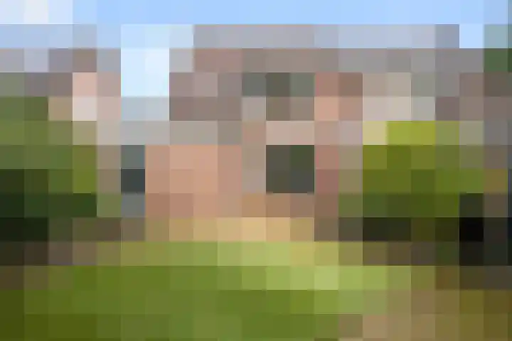 Boterbloem 49 Bennekom thumbnail 4