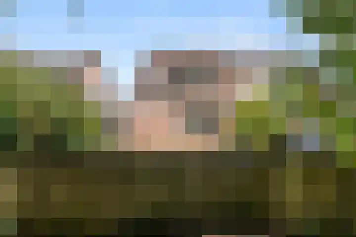 Boterbloem 49 Bennekom thumbnail 5