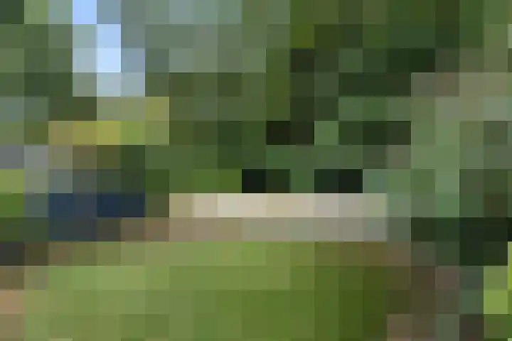 Boterbloem 49 Bennekom thumbnail 7