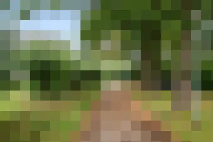 Boterbloem 49 Bennekom thumbnail 8