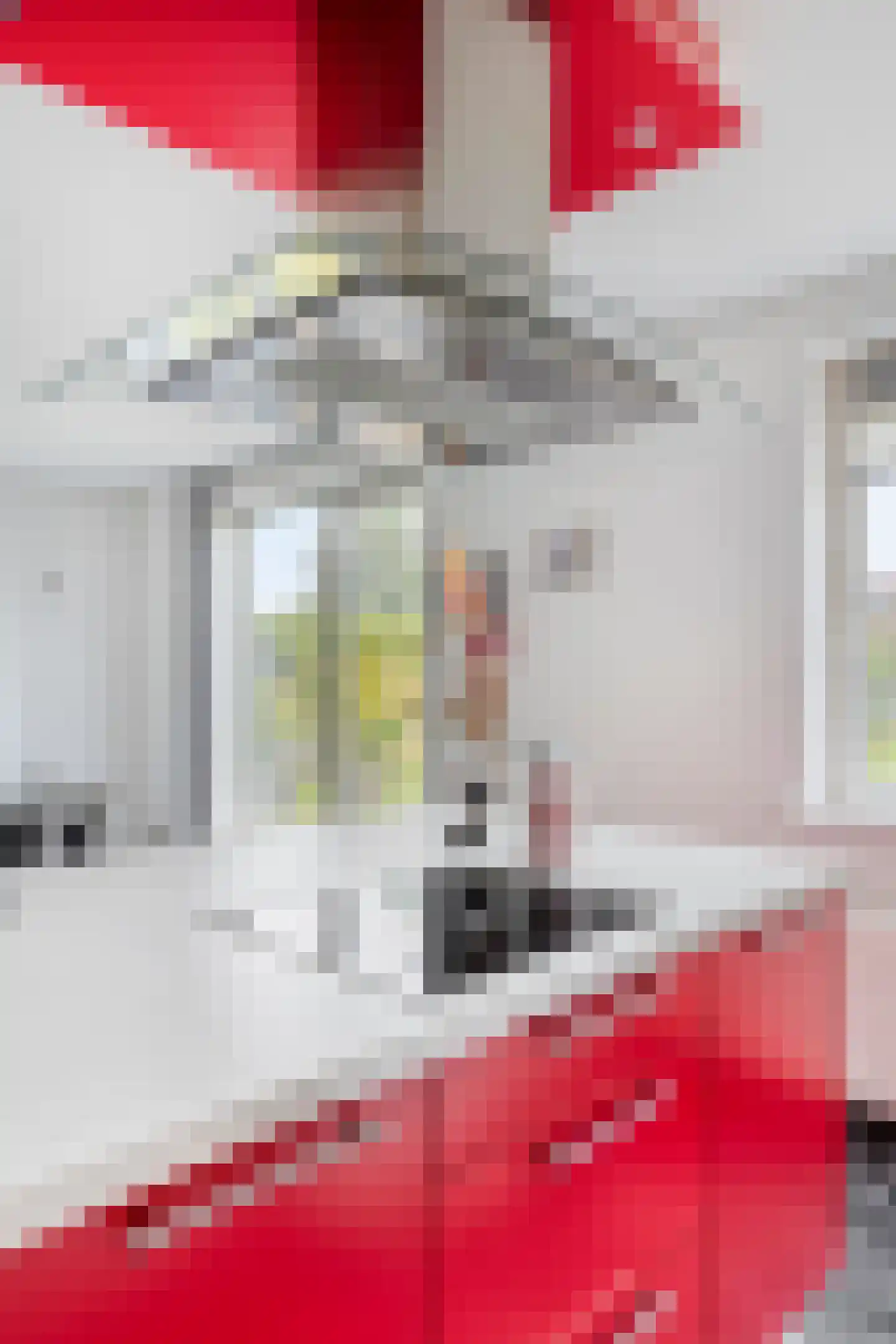 Boterbloem 5 Kapelle thumbnail 27