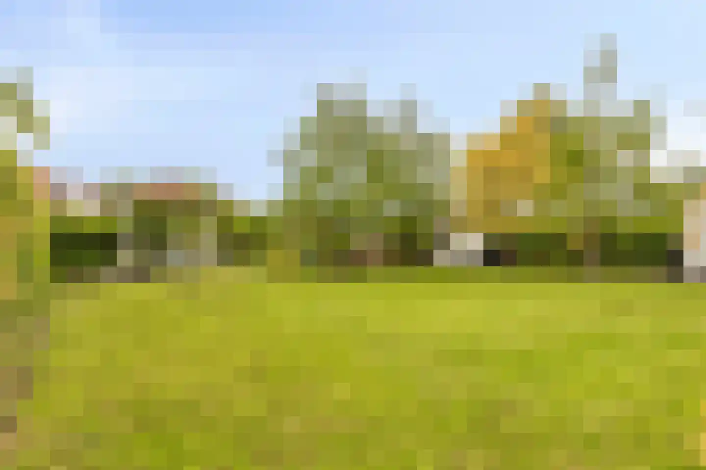 Boterbloem 5 Kapelle thumbnail 61
