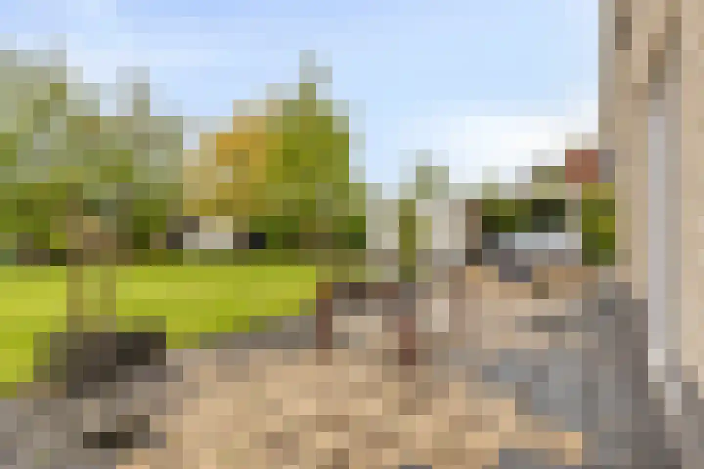 Boterbloem 5 Kapelle thumbnail 62