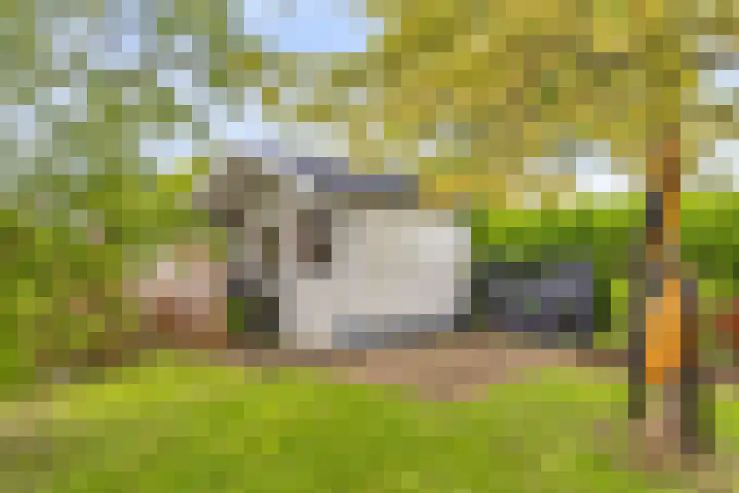 Boterbloem 5 Kapelle thumbnail 68