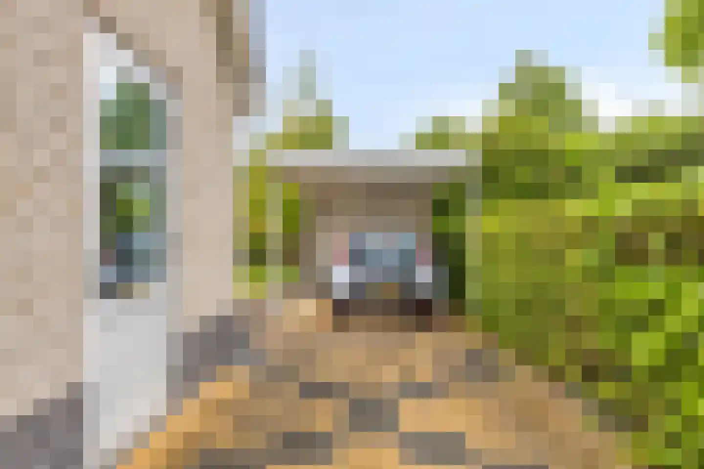 Boterbloem 5 Kapelle thumbnail 73