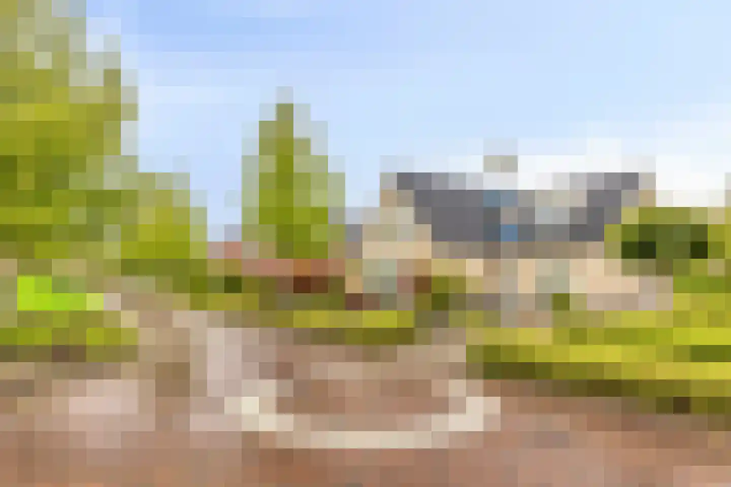 Boterbloem 5 Kapelle thumbnail 77