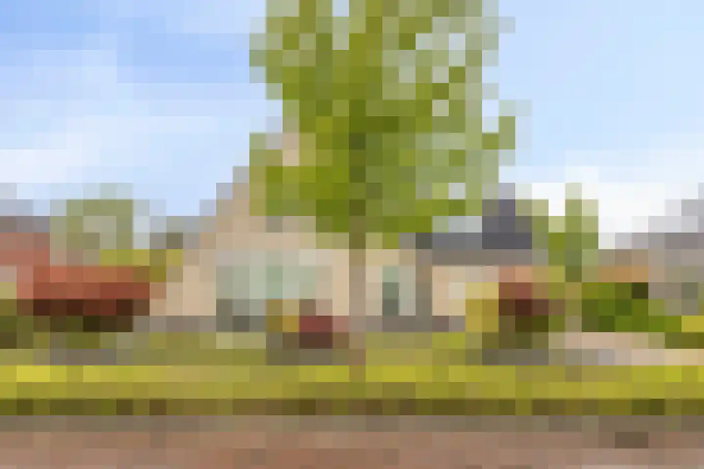 Boterbloem 5 Kapelle thumbnail 79