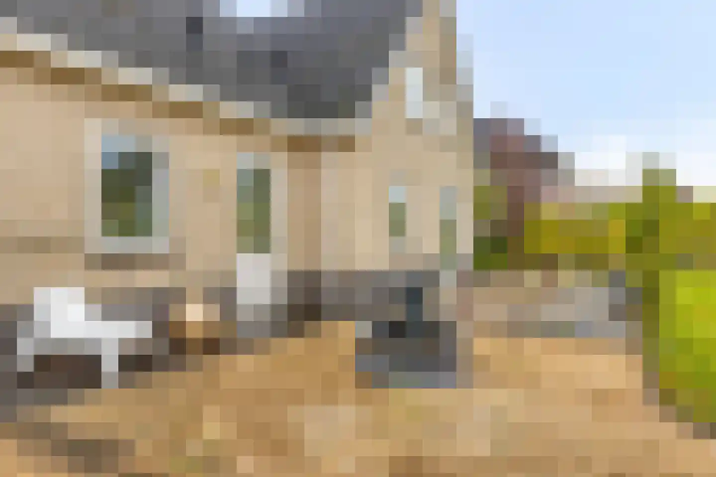 Boterbloem 5 Kapelle thumbnail 81
