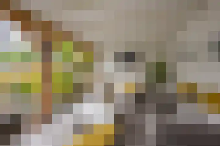 Boterbloem 5 Nijkerk thumbnail 11
