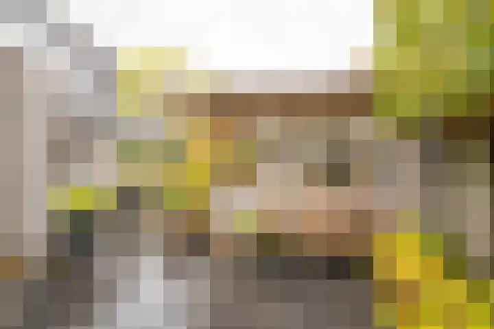 Boterbloem 5 Nijkerk thumbnail 12