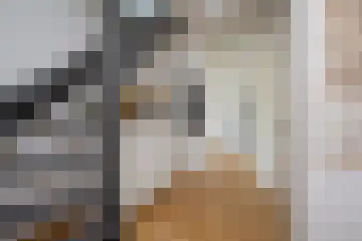Boterbloem 5 Nijkerk thumbnail 15