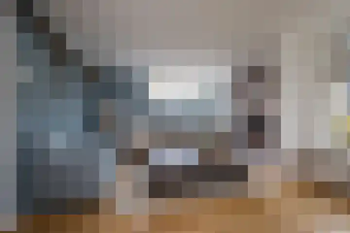 Boterbloem 5 Nijkerk thumbnail 17