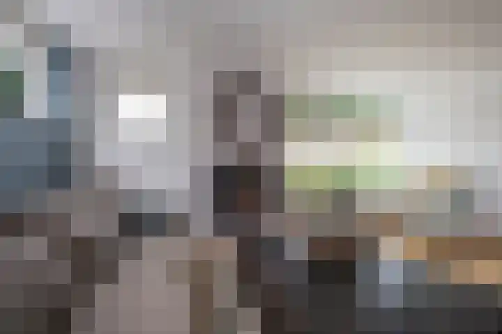 Boterbloem 5 Nijkerk thumbnail 18