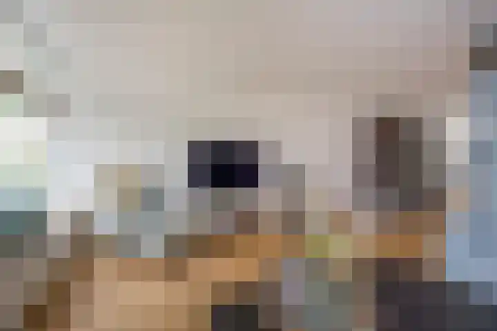 Boterbloem 5 Nijkerk thumbnail 19