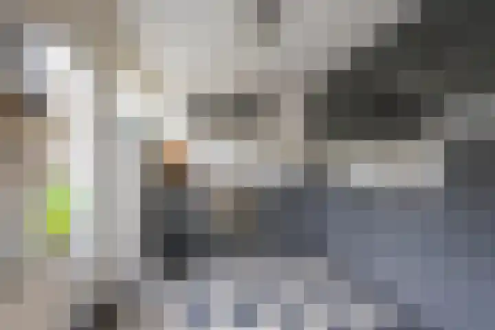 Boterbloem 5 Nijkerk thumbnail 22
