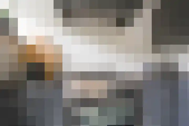 Boterbloem 5 Nijkerk thumbnail 23