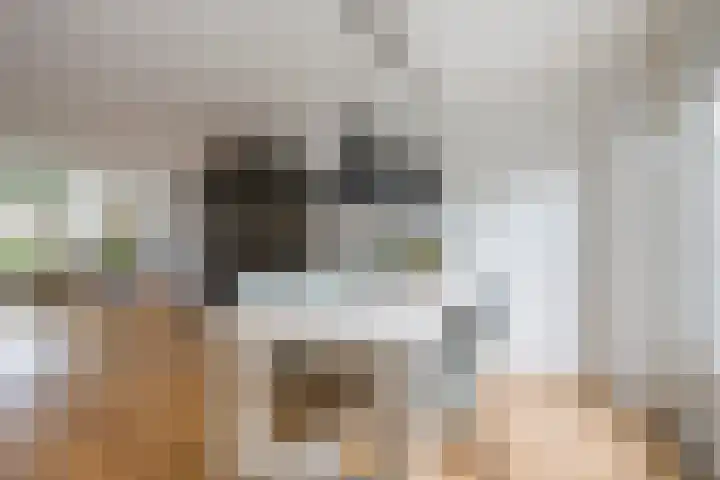 Boterbloem 5 Nijkerk thumbnail 26
