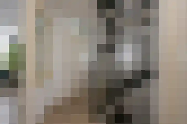 Boterbloem 5 Nijkerk thumbnail 28