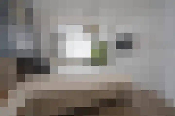 Boterbloem 5 Nijkerk thumbnail 29