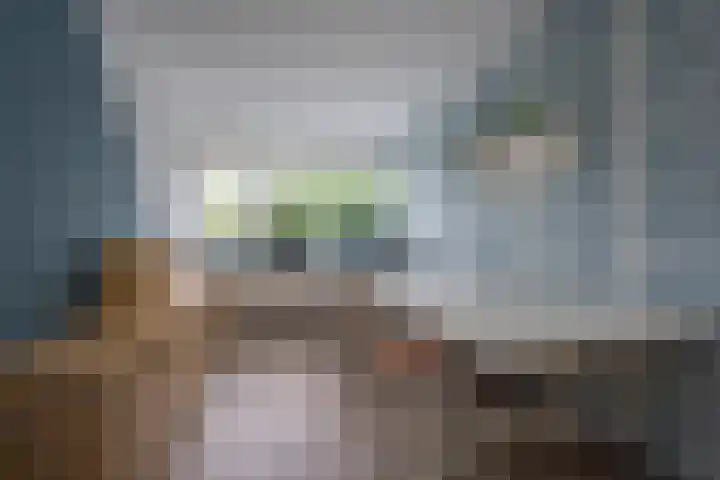 Boterbloem 5 Nijkerk thumbnail 32
