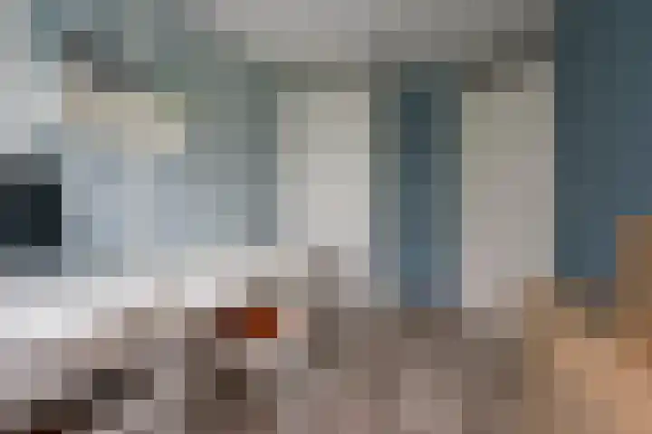 Boterbloem 5 Nijkerk thumbnail 33