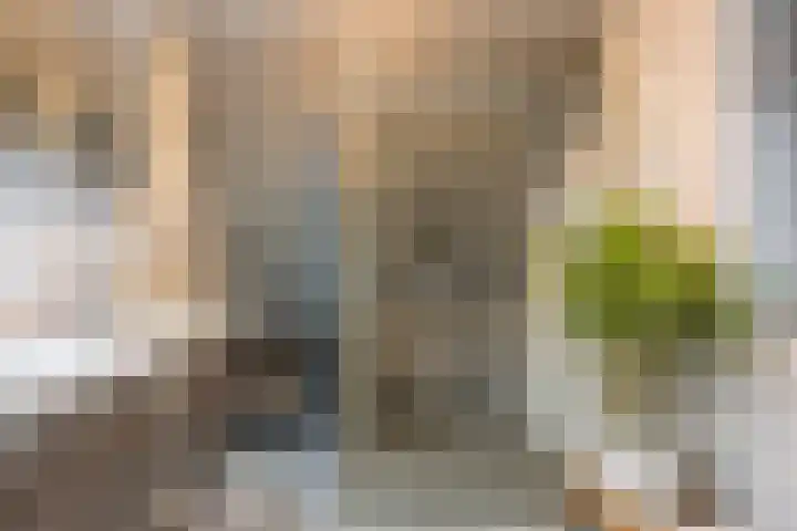 Boterbloem 5 Nijkerk thumbnail 36