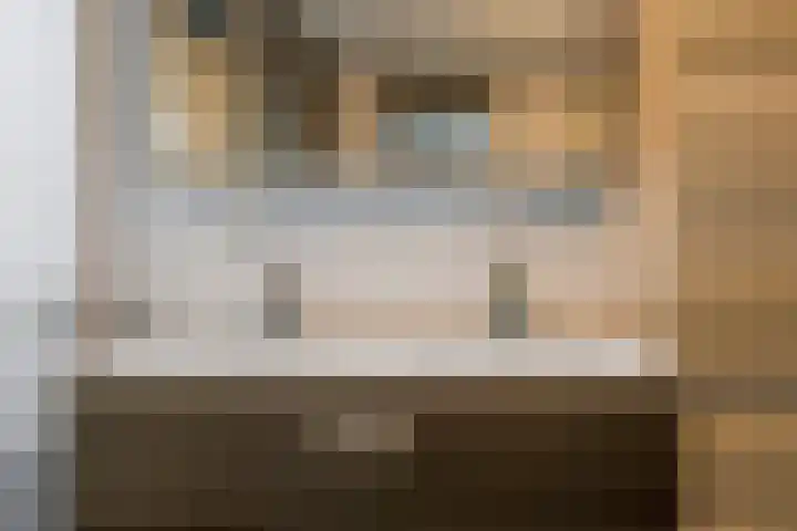 Boterbloem 5 Nijkerk thumbnail 38