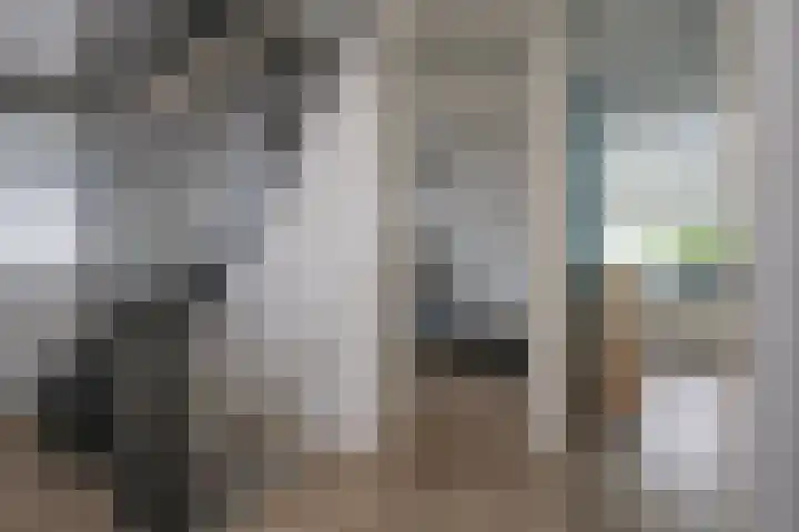 Boterbloem 5 Nijkerk thumbnail 39